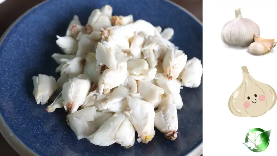 Wholesale packaging for Frozen Fried Garlic can be planned for retail, foodservice, buyer-brand, or manufacturing distribution.